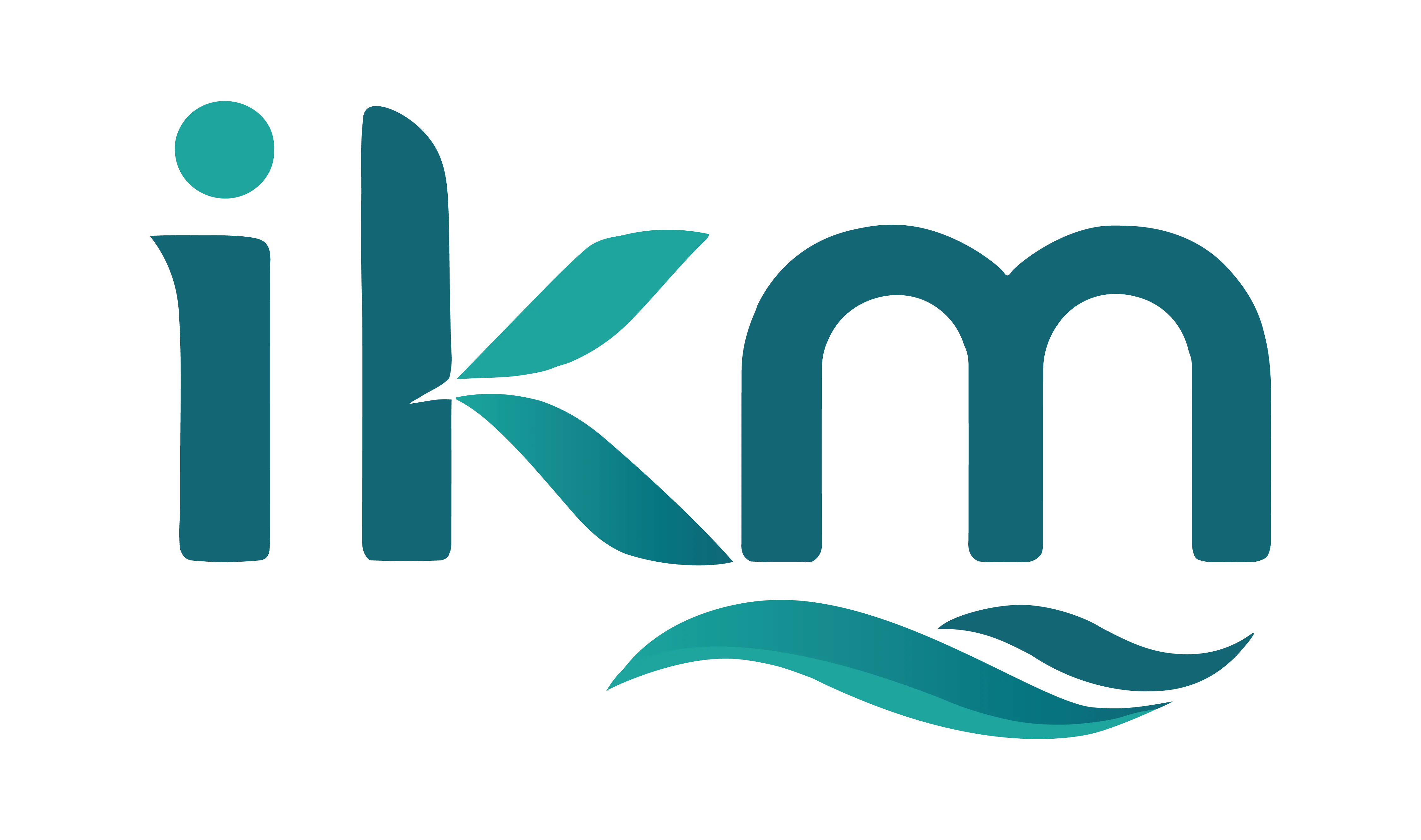 PT IKM